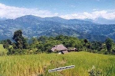 Rudraksha Village