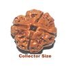 4 mukhi collector sizer