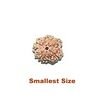 4 mukhi small size