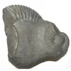 Latest shaligram