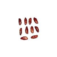 Rudraksha Seeds