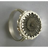 Vishnu Chakra Ring