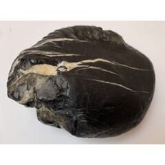 Shree Adbhut sweta ganga Mahadeva hari shaligram