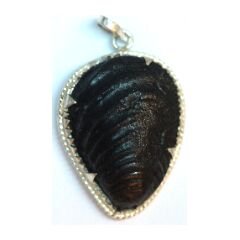 Shree Mahamritunjaya Shaligram Pendant