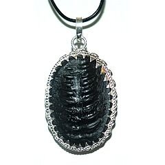 Shree Ekadasa Maharudra Vishnu Shaligram