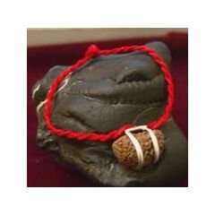 One Mukhi Bracelet