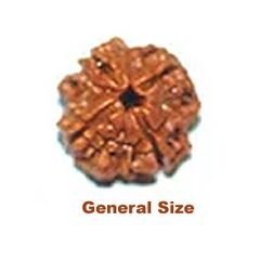 General size 4 muhki