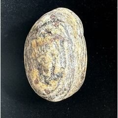Rare shree Adittiya Golden Yogi basistamahavishnu shaligram
