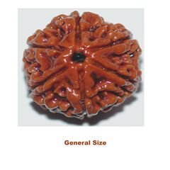 six mukhi general