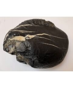 Shree Adbhut sweta ganga Mahadeva hari shaligram