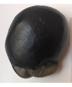 Shree Golden kurma Shaligram