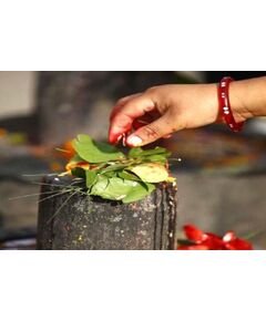 Offering Belpatra Leaf to Lord Shiva