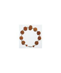 Luck/Fortune Rudraksha Bracelet