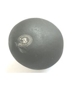 Shree Krishna Shaligram