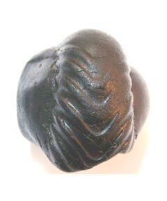 Shree Narshima Shaligram