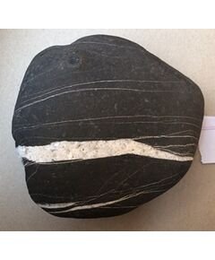 Shree Sewta Vastradhari Mahakalaya Lakshmi Kesav shaligram