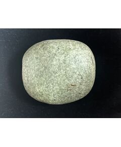 Rare Shree Sacred Adwitya Salpa vishnu Shaligram