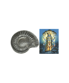 Shree Hari Shaligram