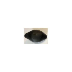 Shree Jyotirganesha Shaligram