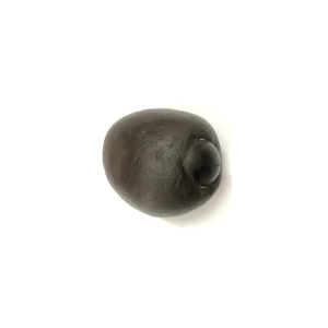 Shree Mritunjaya Shaligram