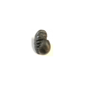 Shree Siva parbati laxmi shaligram