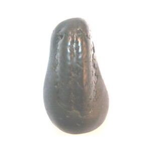 Shree Kalki Shaligram