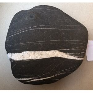 Shree Sewta Vastradhari Mahakalaya Lakshmi Kesav shaligram