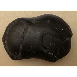 Shree Lakshmi Achyuta narayan Shaligram