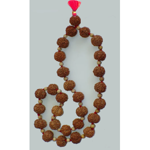 six mukhi mala