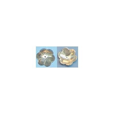 Silver Cap