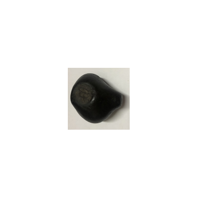 Shree Ajaya krishna Shaligram