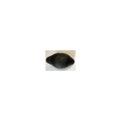 Shree Jyotirganesha Shaligram