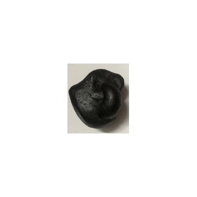 Shree Vikunthnath kalpavriksha mahalakshmi shaligram