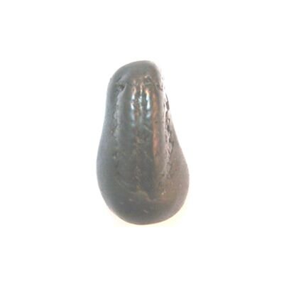 Shree Kalki Shaligram