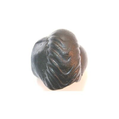 Shree Narshima Shaligram
