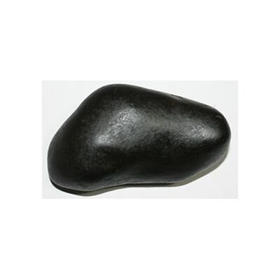 Shree Matsya Shaligram