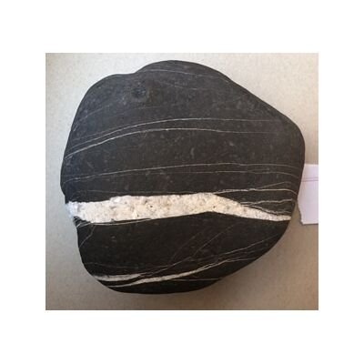 Shree Sewta Vastradhari Mahakalaya Lakshmi Kesav shaligram