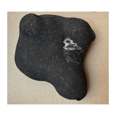 Shree Lakshmi Harideva Gopal Shaligram