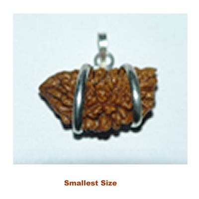 one mukhi small size