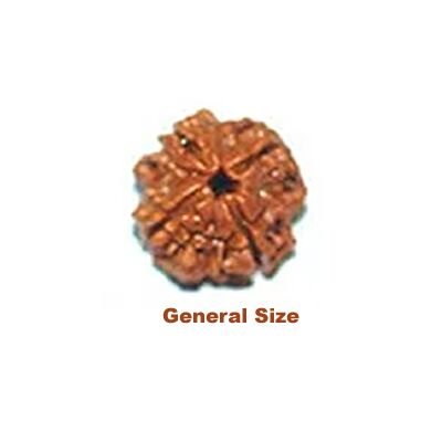 General size 4 muhki