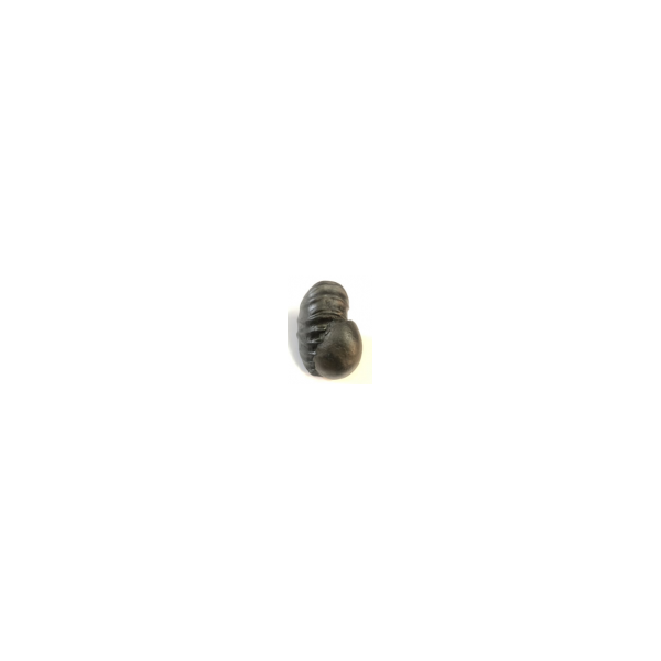 Shree Siva parbati laxmi shaligram