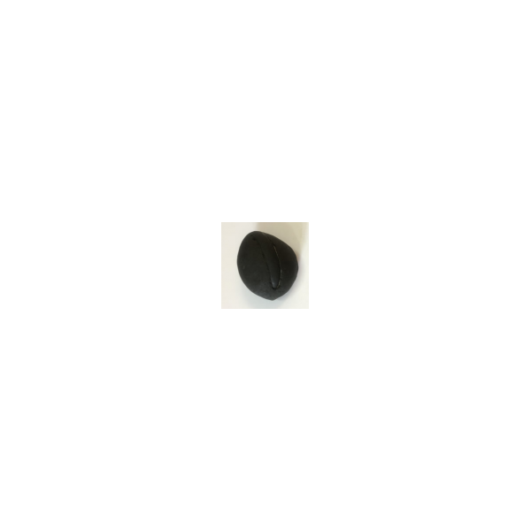 Shree narad Shaligram