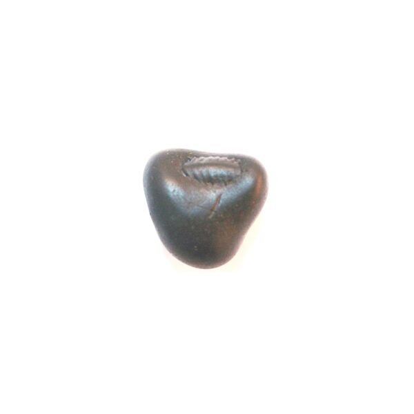 Shree Vamana Shaligram