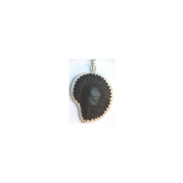 Shree Satya narayan Shaligram Pendant