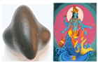 matsyashaligram